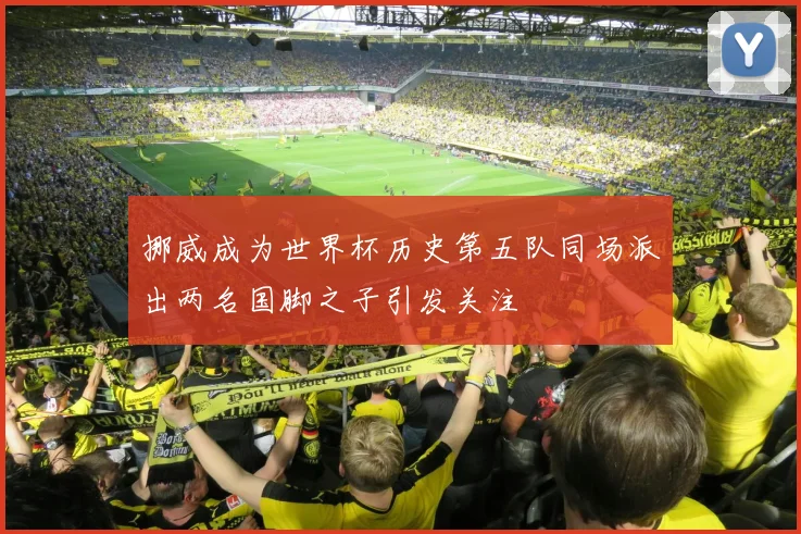 挪威成为世界杯历史第五队同场派出两名国脚之子引发关注