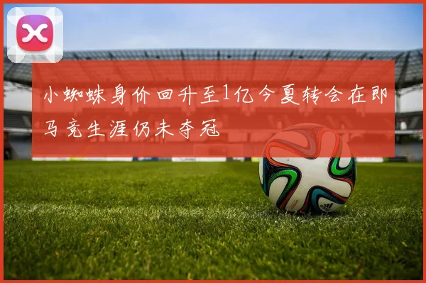 小蜘蛛身价回升至1亿今夏转会在即马竞生涯仍未夺冠