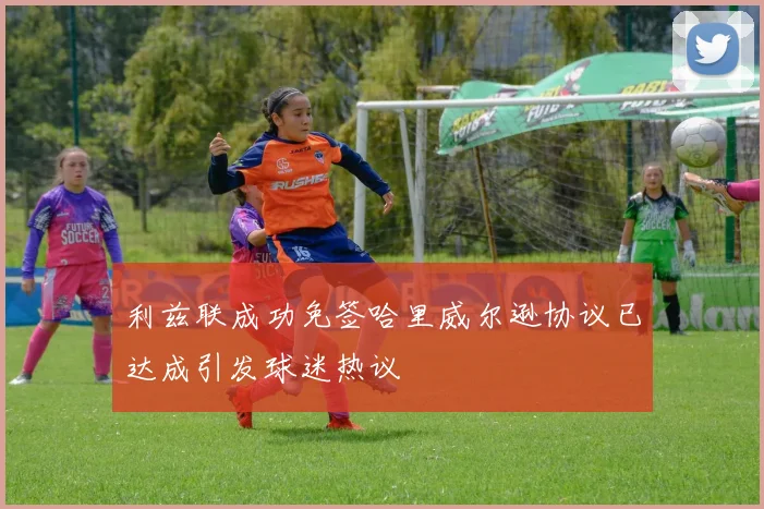 利兹联成功免签哈里威尔逊协议已达成引发球迷热议